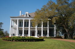 Dunleith Plantation